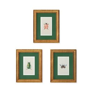 Rifle Paper Co. x Target Gold Foil Insect Framed Wall Art Set of 3